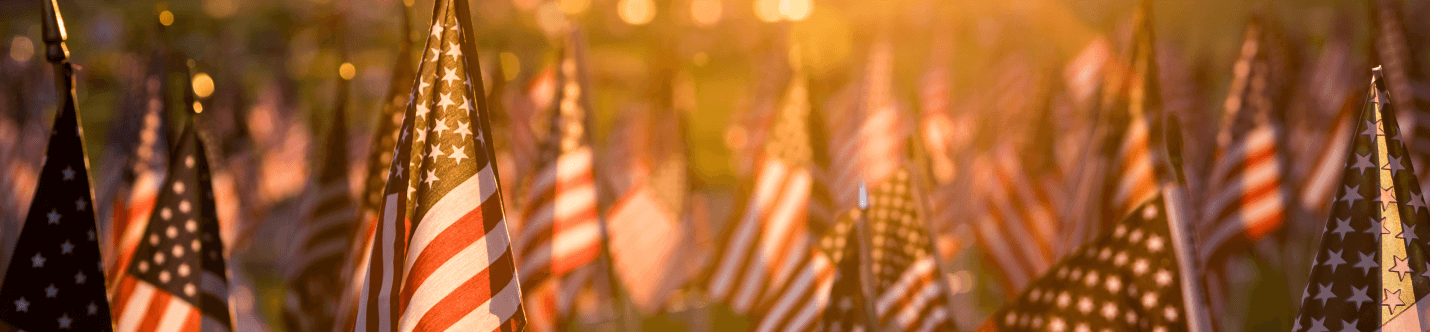 field of American flags during sunset